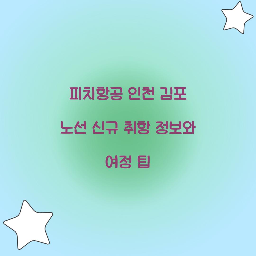 피치항공 인천 김포