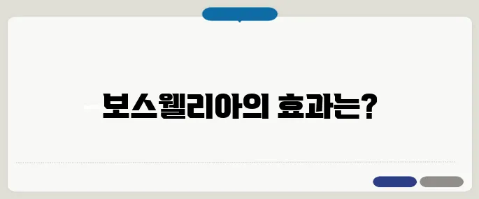 보스웰리아 효능 확인하기 관절염 통증 완화로 인기