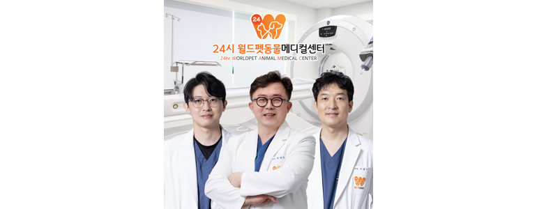 서울 양천구 동물병원