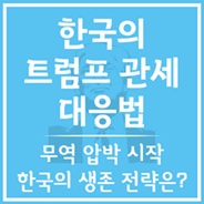 한국의 트럼프 관세 대응법