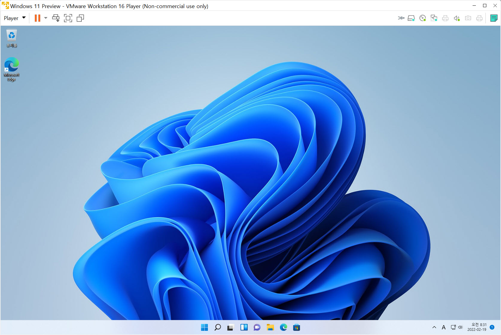 VMWare Workstation Player에 윈도우 11 설치