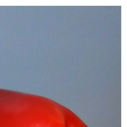 파프리카효능