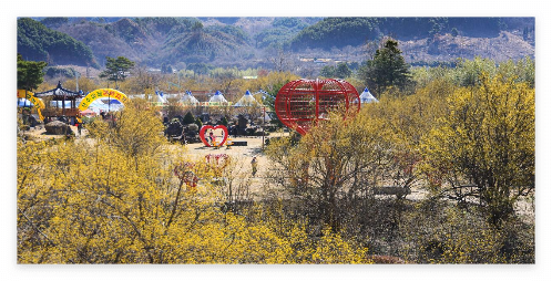 구례산수유축제 명소