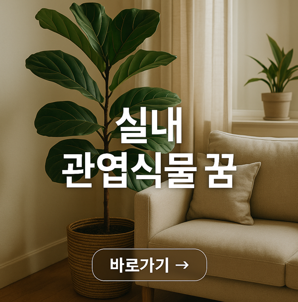 실내 관엽식물 꿈