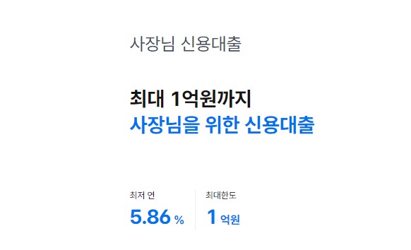 대출