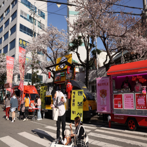 진해 군항제: 주차장 추천, 벚꽃명소, 이벤트, 볼거리, 맛집, 가볼만한곳, 드라이브