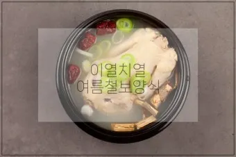 이열치열 뜻 예문 반대말 사자성어 정리_25