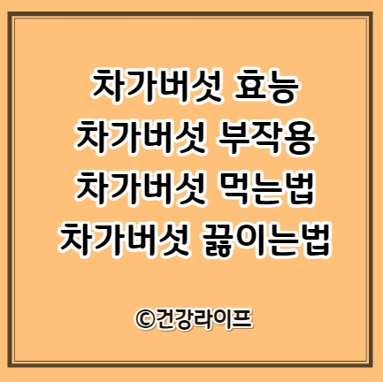 차가버섯 효능, 부작용 , 끓이는법, 먹는법