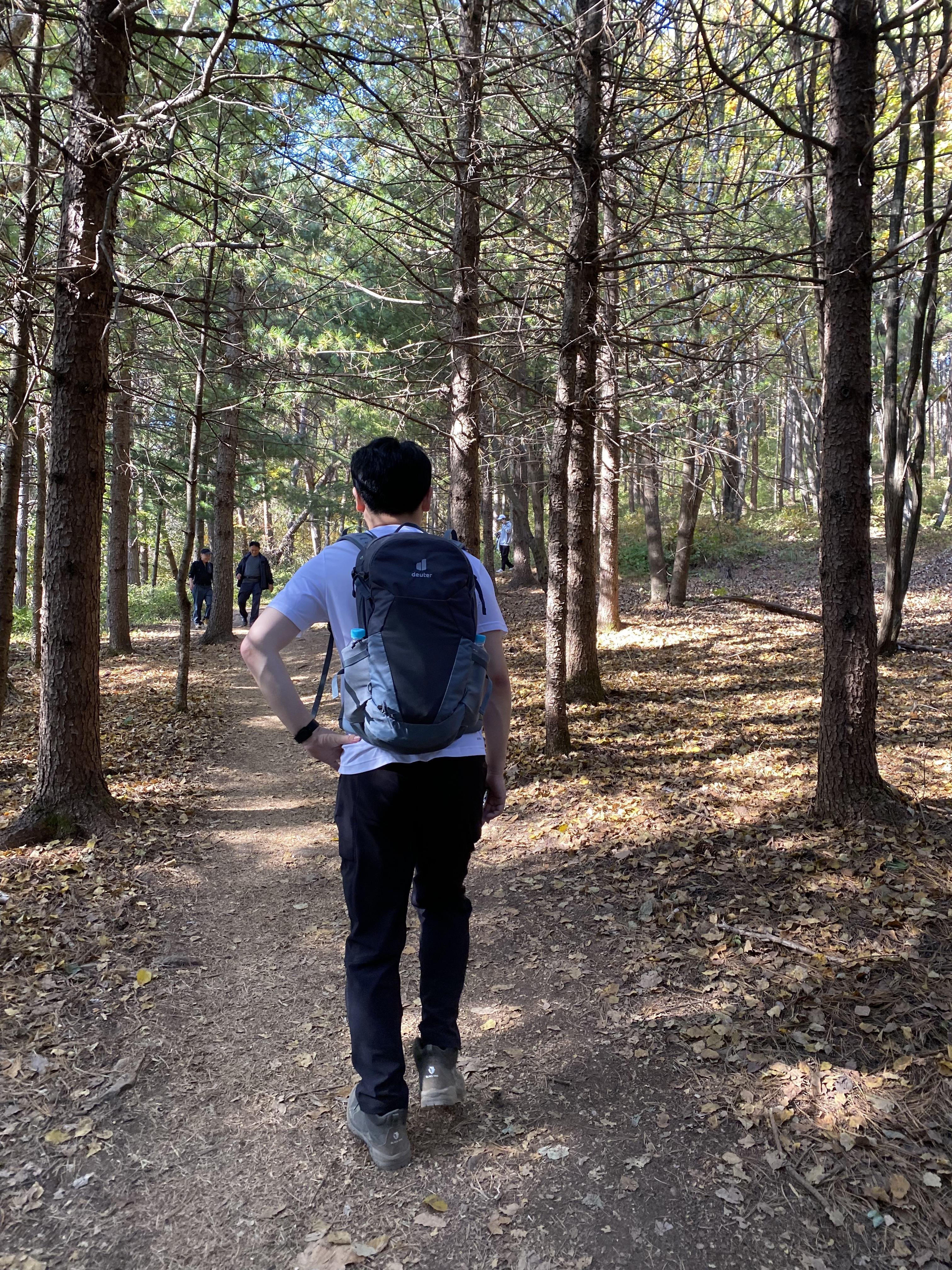 민둥산