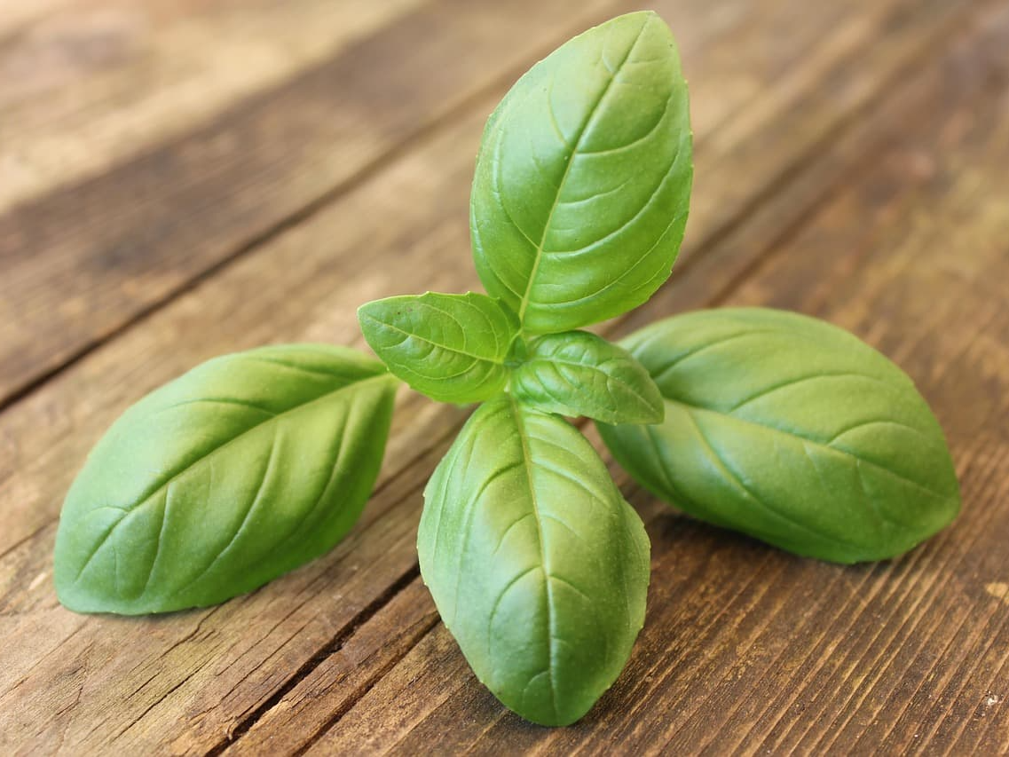 건강 관리에 도움을 주는 바질씨드