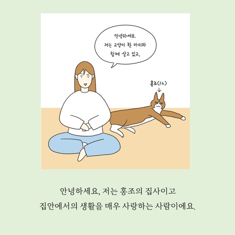 홍조 민정원 1인1묘살림일지