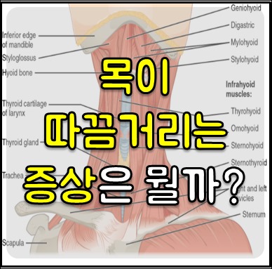목이 따끔거리는 증상 01