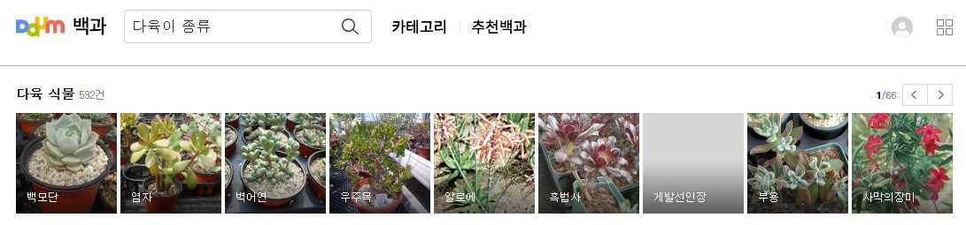 백모단 벽어연 등 다양한 다육식물 목록
