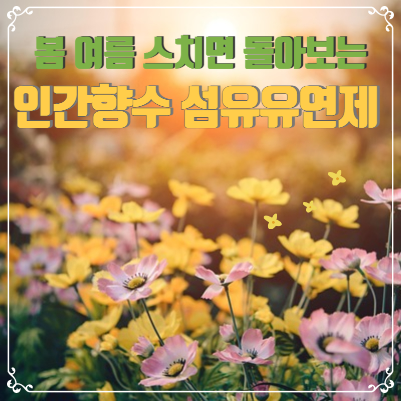 봄 여름 스치면 돌아보는 인간 향수 섬유유연제 추천