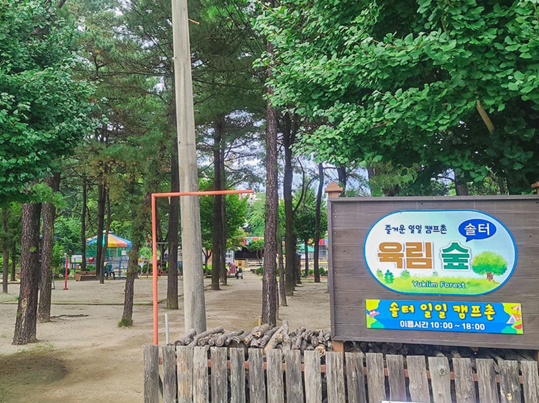춘천 육림랜드