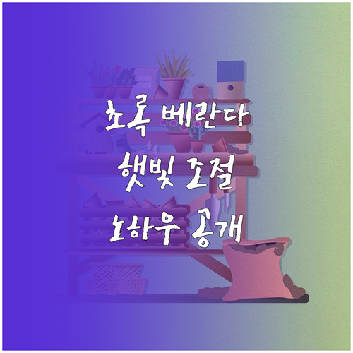 초록 베란다 만들기, 햇빛 조절 노하..
