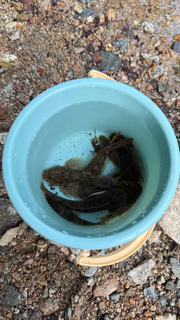 계곡 물놀이 준비물_모래놀이장난감