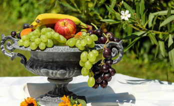 개복숭아효소의 효능 한눈에 보기 16