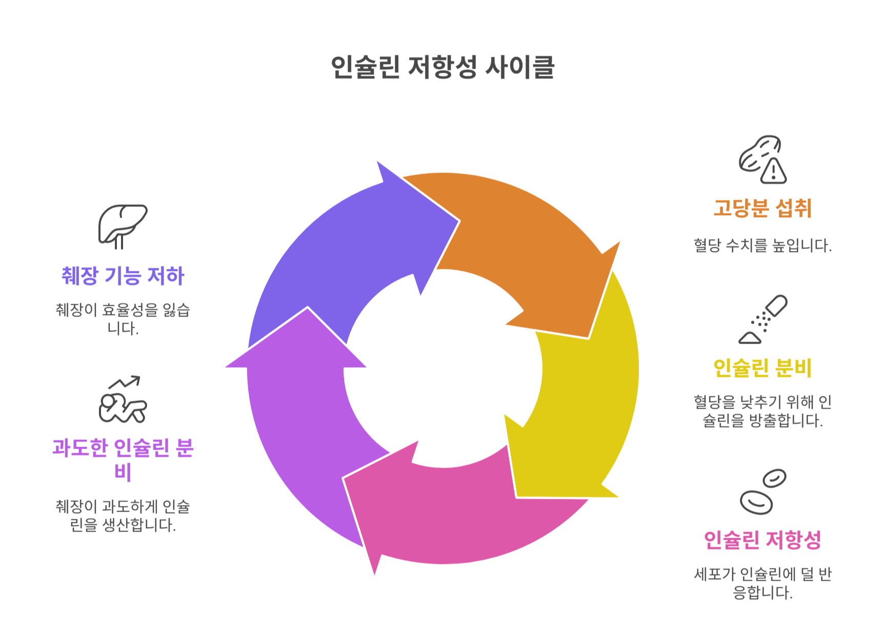 인슐린 저항성과 당분 섭취의 숨겨진 관계