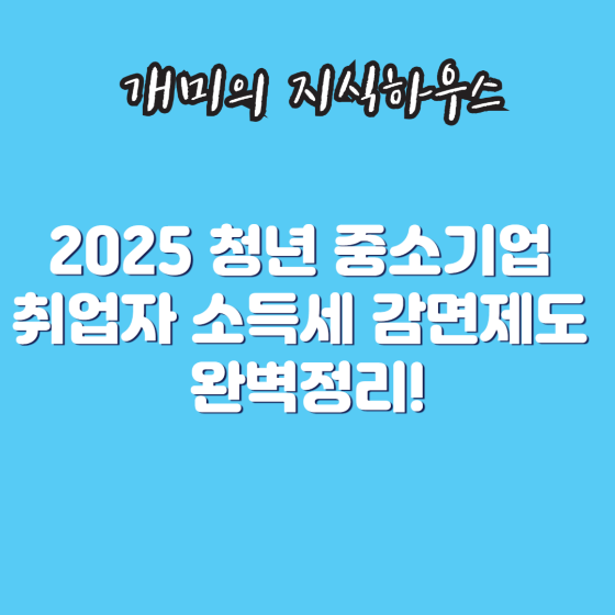 청년중소기업취업자 소득세 감면제도