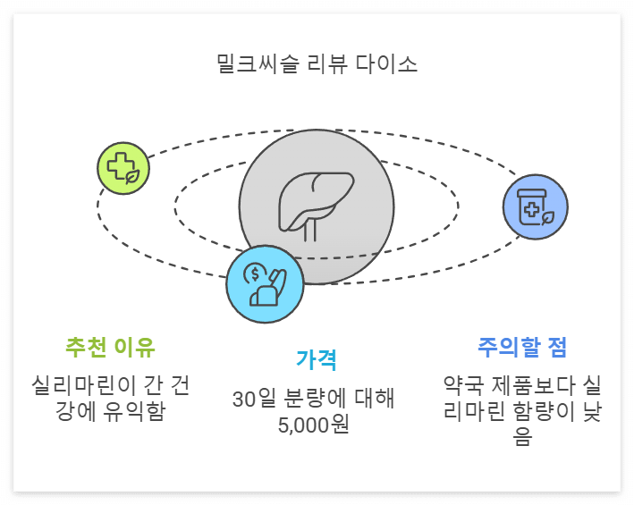 다이소 영양제 추천