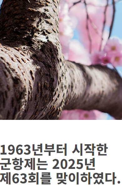 진해군항제 일정 진해 벚꽃축제 진해 날씨