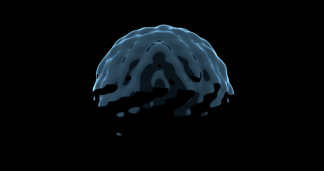 Cerebellum
