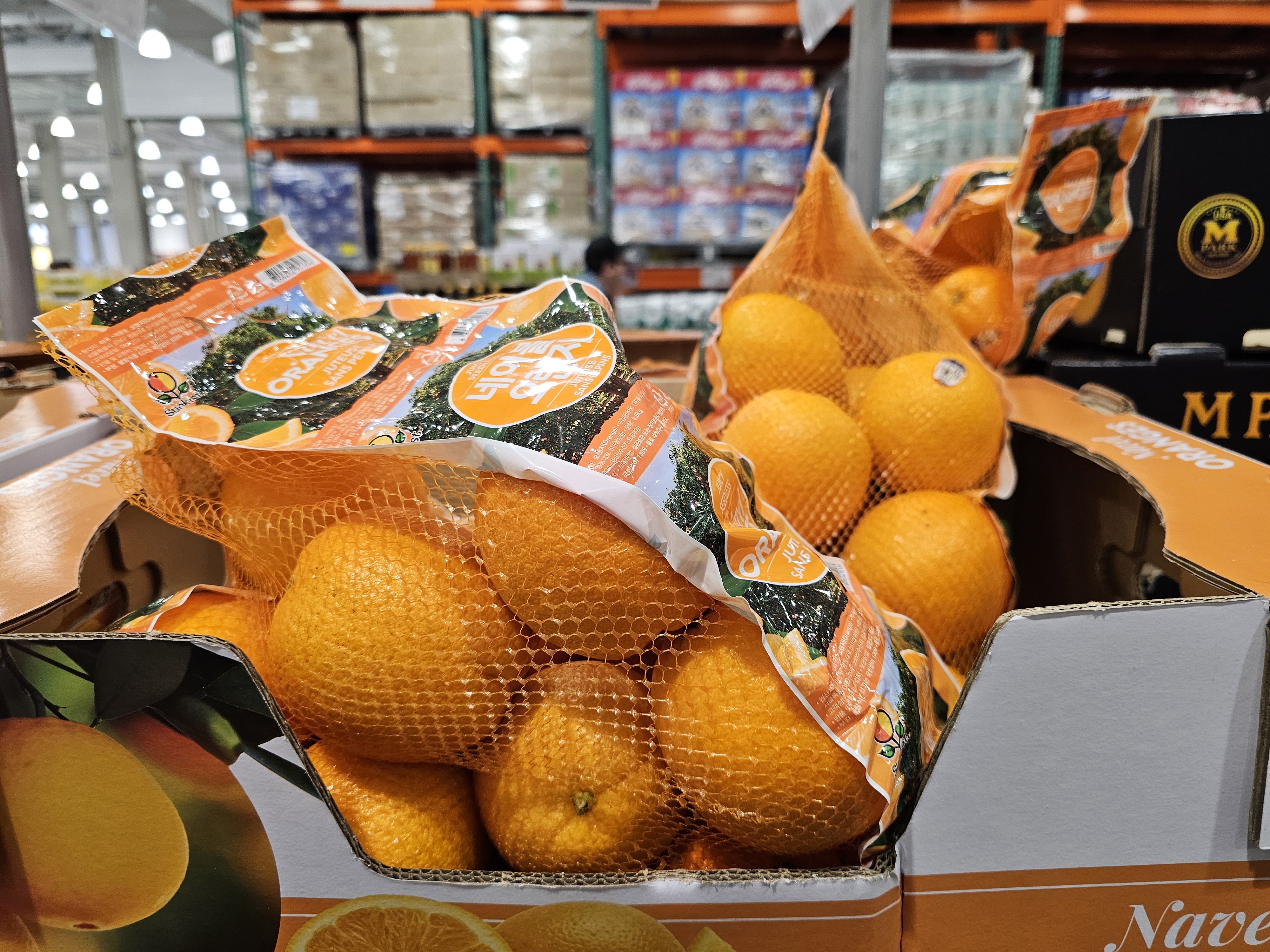네이블 오렌지 (5kg)