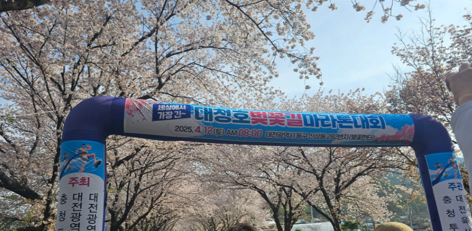 대청호 벚꽃길 마라톤대회 사진
