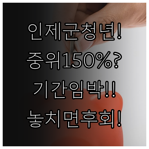 인제군 청년월세지원 2026년 기준 ..