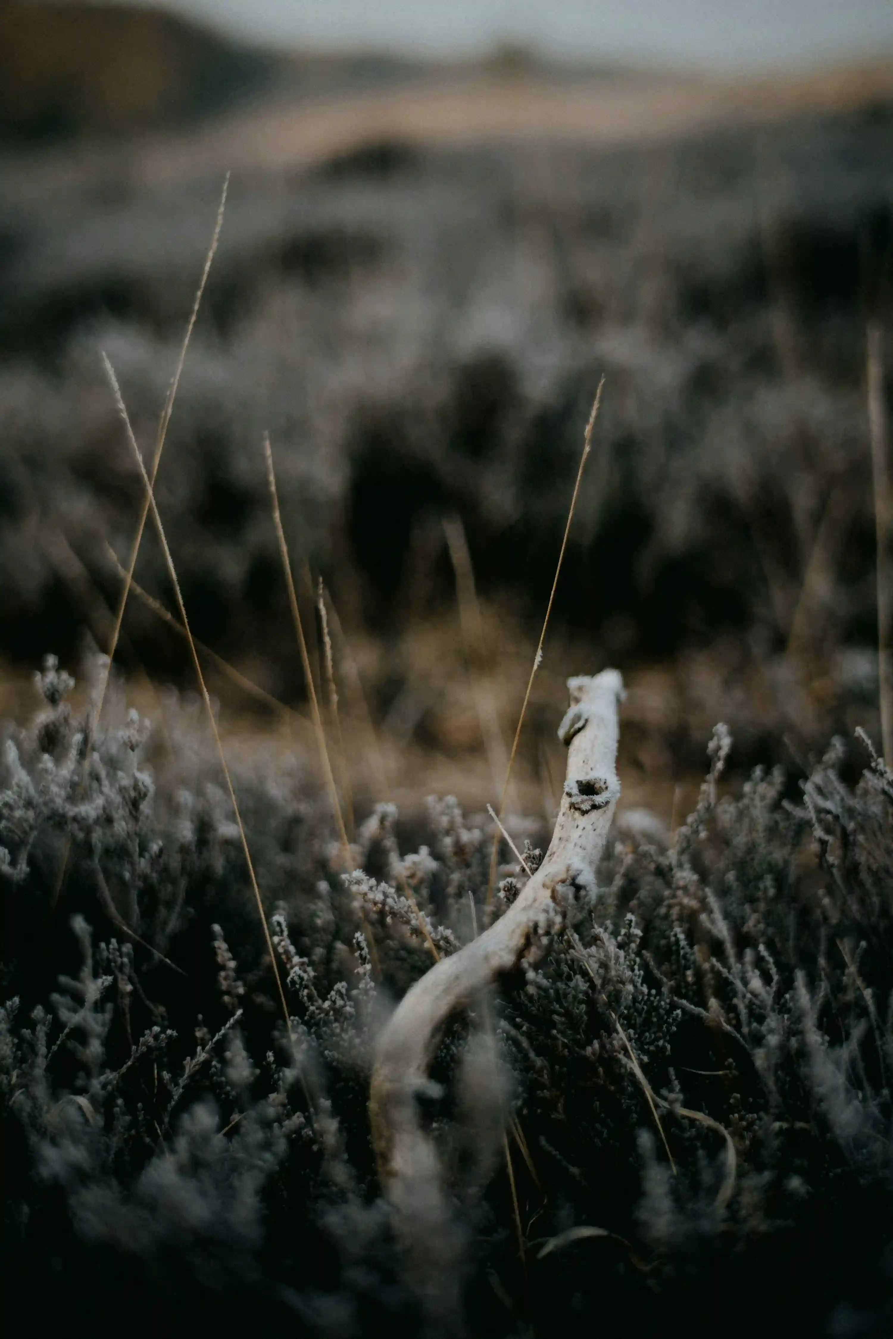 B형독감 잠복기 총정리 (+A형과 차이·격리기간·예방)