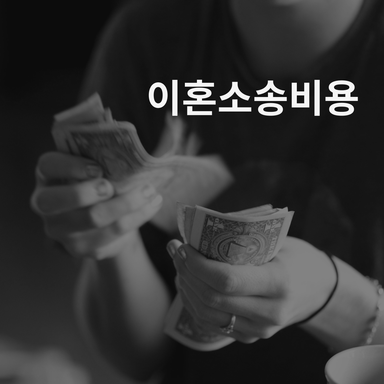 이혼소송 비용
