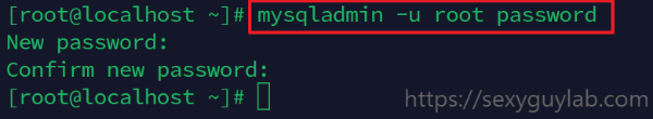 MariaDB 초기 비밀번호 설정