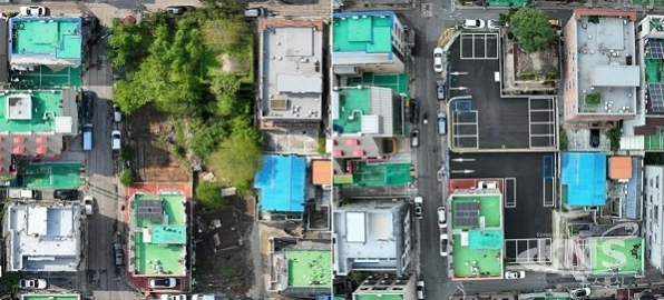 KNS뉴스통신 대구/경북 누리집 장면갈무리