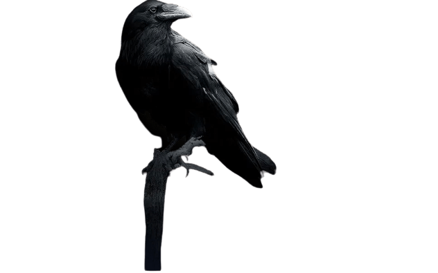 나이트 크로우4