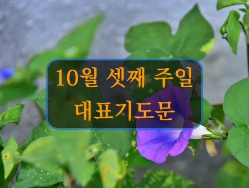 야유회 기도문 2025년_7