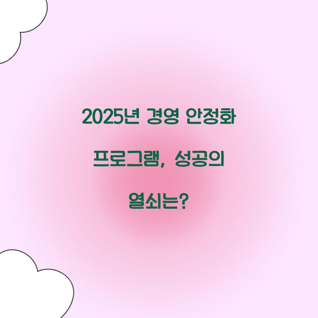 2025년 경영 안정화 프로그램
