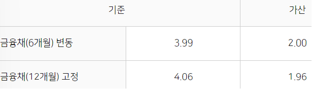 금융인 대출