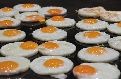 조식주는 아파트 총정리4