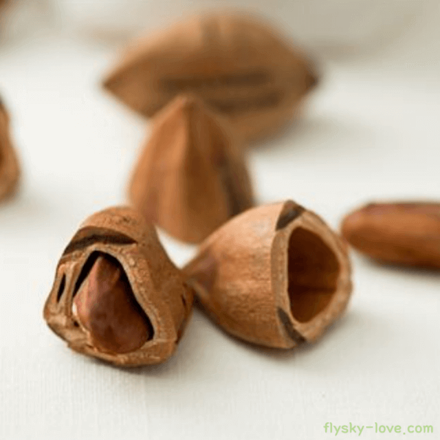 필리너트 먹는 방법