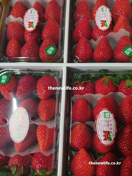 딸기 효능 손실을 막는 올바른 세척법(식초물 등)을 보여주는 실사진