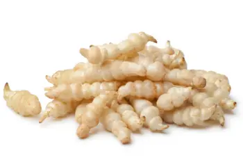 초석잠 효능과 영양성분, 주의점