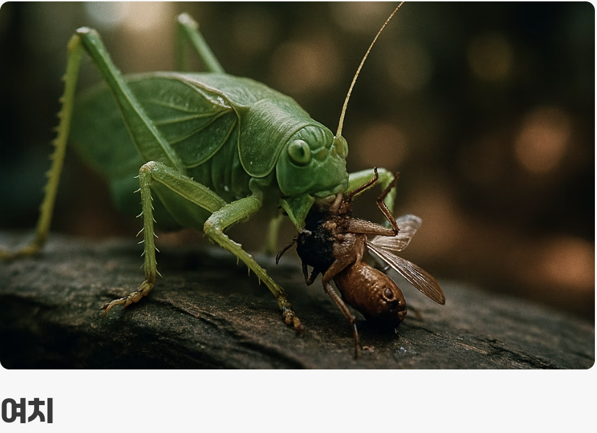 서로 다른 식성: 초식주의자 vs 작은 사냥꾼