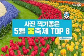 5월 가봐야할 전국 축제 10선 가족 연인 최고 명소_7