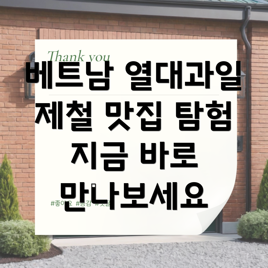 베트남 제철 과일