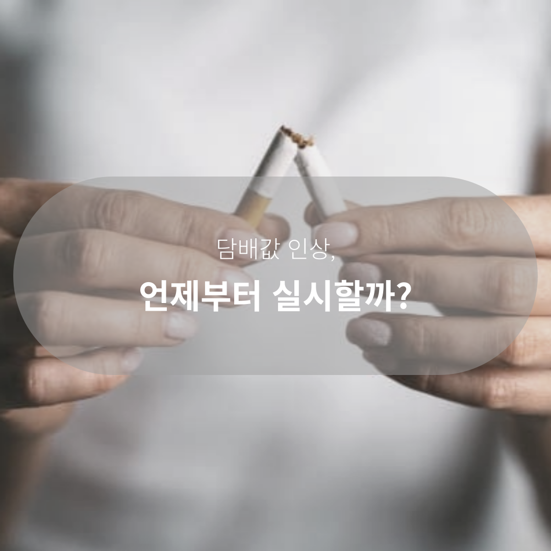 담배값 인상 시기