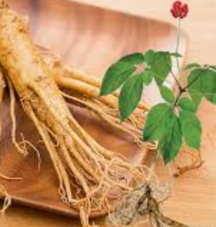 인삼다당체 건강기능식품