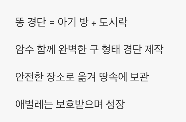 완벽한 자녀 사랑, 똥 경단의 비밀