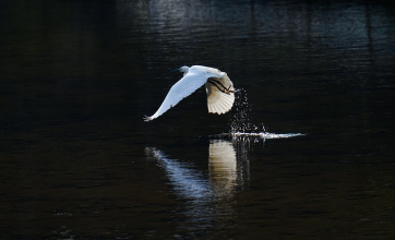 예시로 쉽게 이해하기