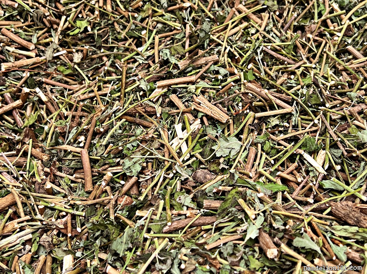 구절초 (九節草) 사진